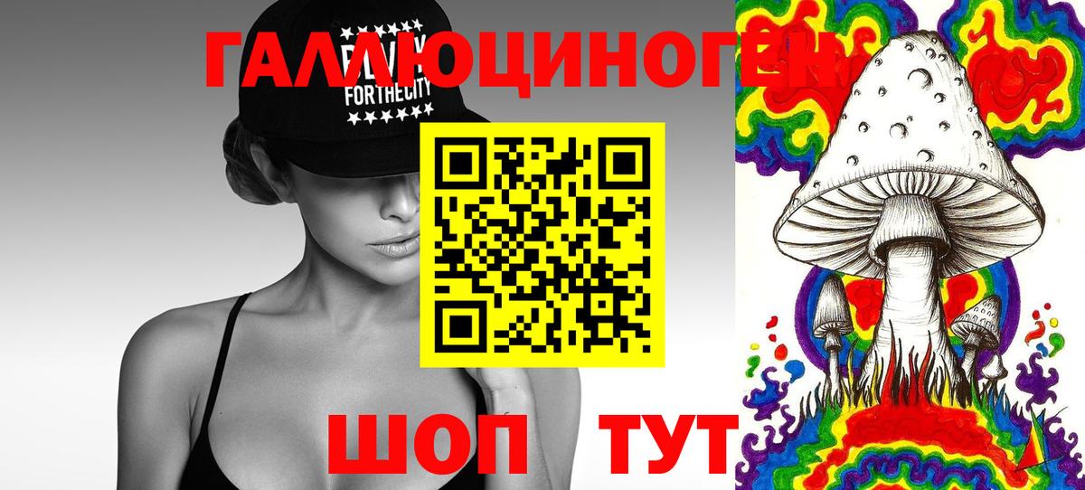 Псилоцибиновые грибы Psilocybine cubensis Алатырь