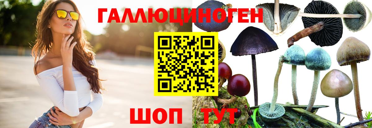Галлюциногенные грибы GOLDEN TEACHER  Вход с VPN  Алатырь 